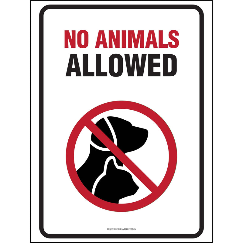 Pets Not Allowed - 1
