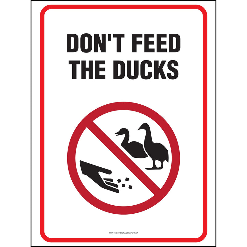 Do Not Feed The Ducks