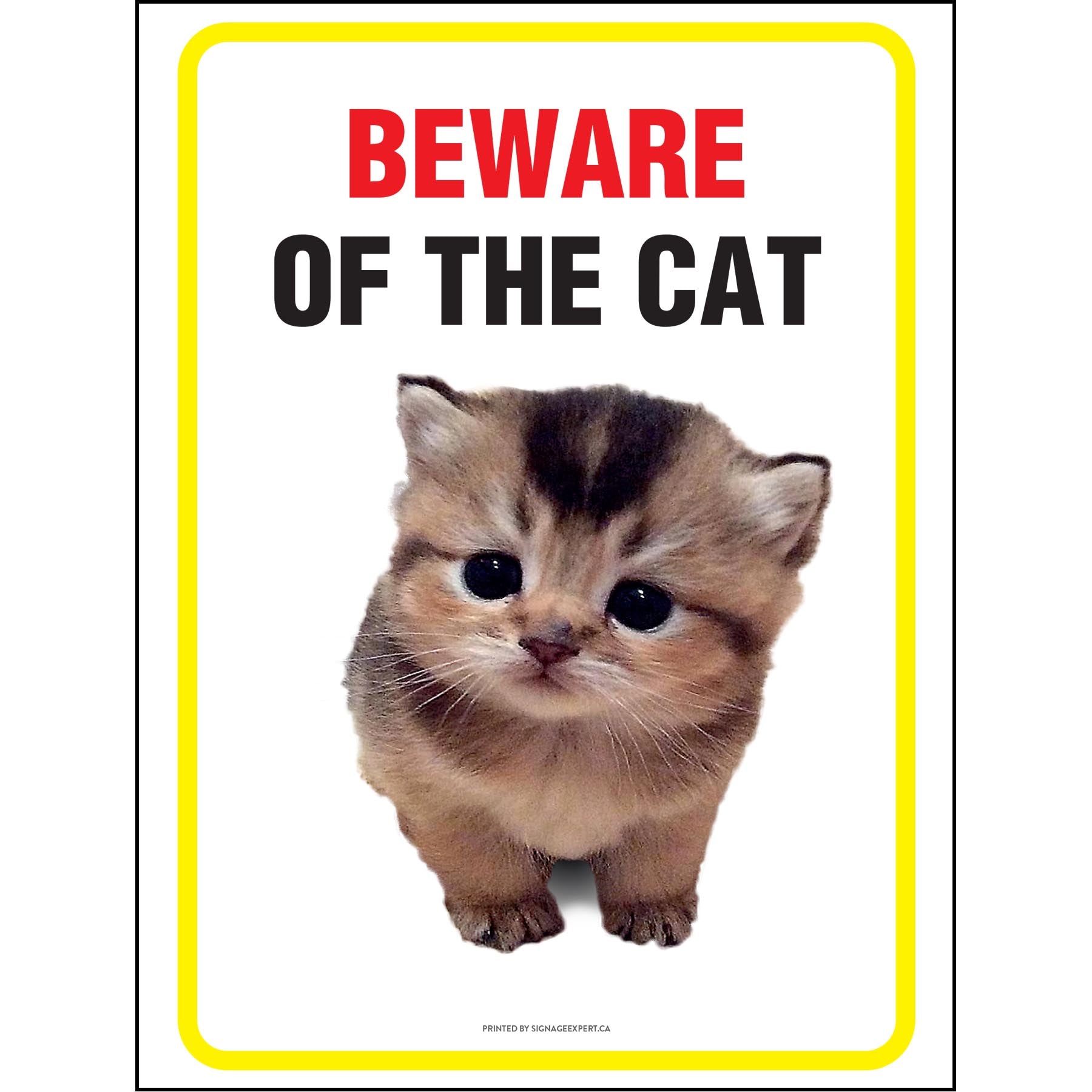 Beware Of Cat