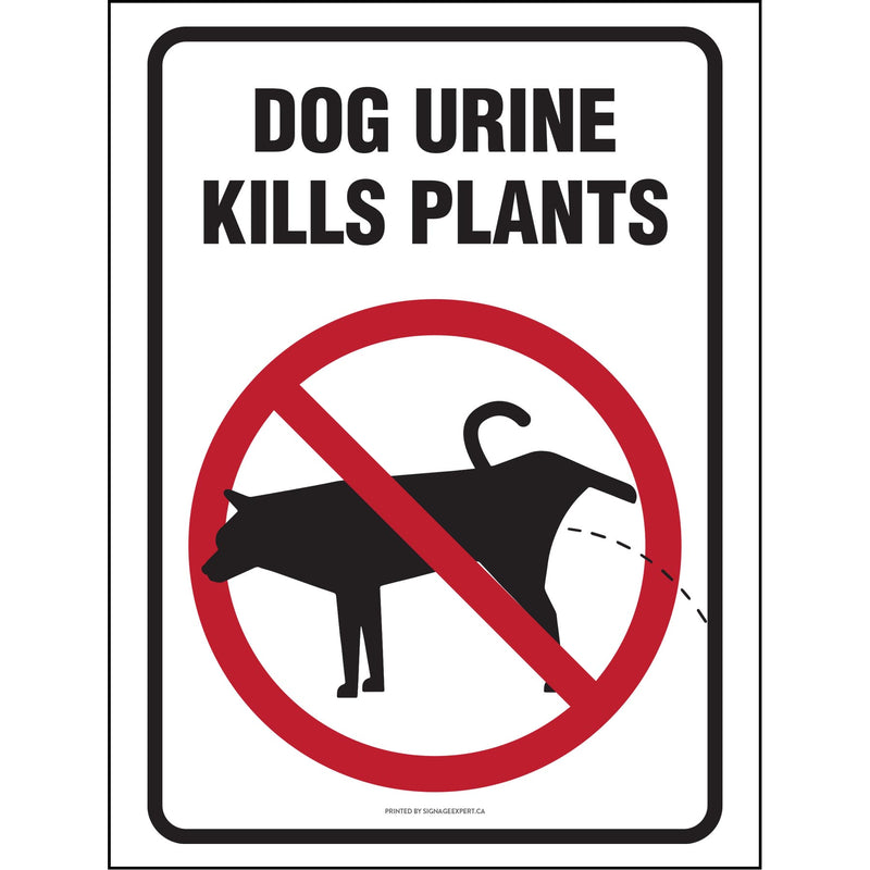 Dog Urine Kills Plants