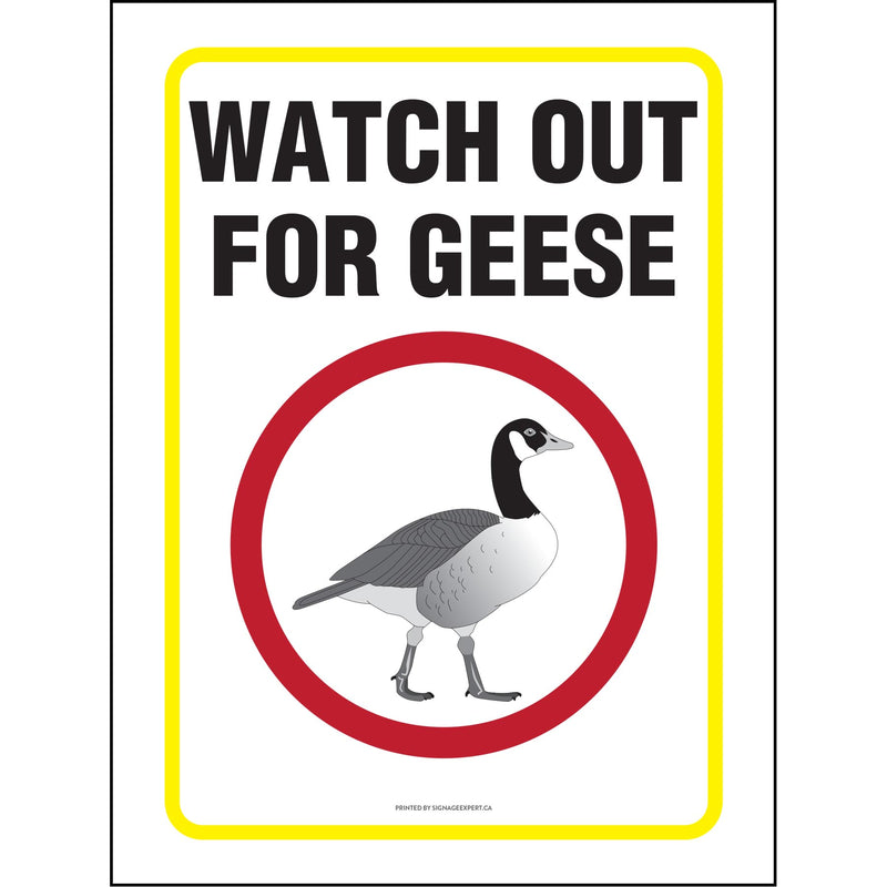 Watch Out for Geese